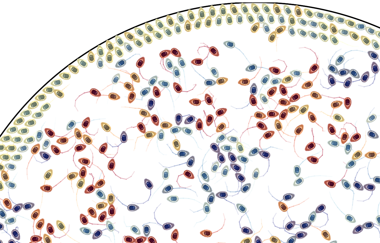 Role of diversity for collective behavior of robots